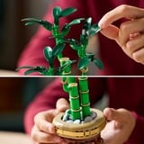 LEGO 10344 Botanicals Glücks-Bambus, Konstruktionsspielzeug 