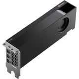 PNY NVIDIA RTX A2000 12GB SB, Grafikkarte 4x mini-DisplayPort, Bulk