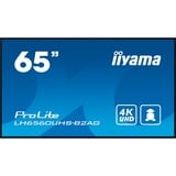 iiyama ProLite LH6560UHS-B2AG, Public Display schwarz (matt), UltraHD/4K, VA, Lautsprecher,