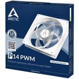 ARCTIC P14 PWM 140x140x27, Gehäuselüfter weiß, 140 mm