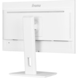 iiyama ProLite XUB2497HSN-W1, LED-Monitor 60.5 cm (23.8 Zoll), weiß (matt), FullHD, IPS, USB-C, RJ-45, 100Hz Panel