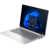HP EliteBook 645 G11 (9C0H2EA), Notebook silber, Windows 11 Pro, 35.6 cm (14 Zoll), 256 GB SSD