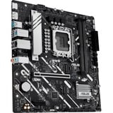 ASUS PRIME H810M-A-CSM, Mainboard 