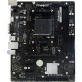 Biostar A520MHP, Mainboard 