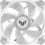 ASUS TUF GAMING TF120 ARGB White, Gehäuselüfter weiß/transparent