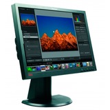 Lenovo ThinkVision LT2452P Generalüberholt, LED-Monitor 61 cm (24 Zoll), schwarz, WUXGA, IPS, USB-Hub