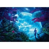 Schmidt Spiele Cameron Gray Himmelsfantasie, Puzzle 1000 Teile