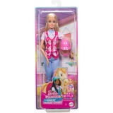 Mattel Barbie Mysteries: Die große Pferdejagd - Malibu, Puppe 