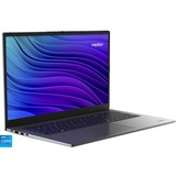 Medion E17433 (MD62673), Notebook grau, Intel® Core™ i5-13420H, Intel® UHD Graphics, 16 GB DDR4, 1 TB SSD, Windows 11 Home 64-Bit