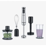 Severin Stabmixer SM 3774 Premium Set edelstahl, 1.000 Watt, mit Zerkleinerer, Kartoffelstampfer, Schneebesen