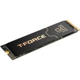 Team Group T-FORCE GE Pro 2 TB, SSD schwarz/gold, PCIe 5.0 x4 | M.2 2280 | Graphen-Kühlkörper