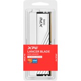 ADATA DIMM 16 GB DDR5-6000, Arbeitsspeicher weiß, AX5U6000C3416G-SLABRWH, XPG Lancer Blade RGB, INTEL XMP, AMD EXPO