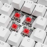 Sharkoon SKILLER SGK25, Gaming-Tastatur weiß, DE-Layout, Huano Red