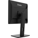 iiyama ProLite B1980D-B5, LED-Monitor 48 cm (19 Zoll), schwarz, SXGA, TN, VGA, DVI