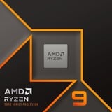 AMD Ryzen™ 9 9900X, Prozessor Boxed-Version