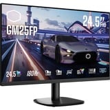 GM25FP, Gaming-Monitor