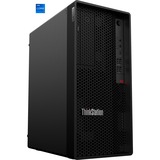 Lenovo ThinkStation P2 Tower (30FR004FGE), PC-System schwarz, Windows 11 Pro 64-Bit