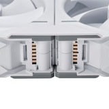 Phanteks D30-120 PWM Regular, Gehäuselüfter weiß, 3er Pack