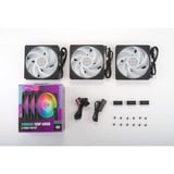 Cooler Master Mobius 120P ARGB 120x120x25, Gehäuselüfter schwarz, 3er Pack