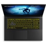 Medion ERAZER Defender P50i (30038543) , Gaming-Notebook schwarz, Windows 11 Home 64-Bit, 43.9 cm (17.3 Zoll) & 144 Hz Display, 1 TB SSD