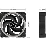 ARCTIC BioniX P120 A-RGB, Gehäuselüfter schwarz, 120 mm