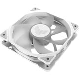 ASUS TUF GAMING TR120 ARGB, Gehäuselüfter weiß/transparent, Reverse Blade, 120 mm