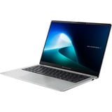 ASUS Expert Book P5 (V5405CSA-NZ0372W), Notebook silber, Windows 11 Home 64-Bit, 35.6 cm (14 Zoll) & 144 Hz Display, 1 TB SSD