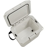 Coleman PRO 25QT, Kühlbox beige