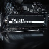 Patriot P400 V4 500 GB, SSD PCIe 4.0 x4, NVMe 2.0, M.2 2280