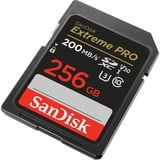 SanDisk Extreme PRO 256 GB SDXC, Speicherkarte schwarz, UHS-I U3, Class 10, V30