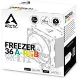 Arctic Freezer 36 A-RGB, CPU-Kühler weiß