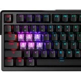 ASUS ROG Azoth Extreme, Gaming-Tastatur schwarz, DE-Layout, ROG NX Snow