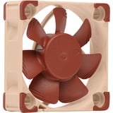 Noctua NF-A4x10 5V PWM, Gehäuselüfter 40 mm