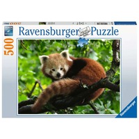 Puzzle Süßer roter Panda