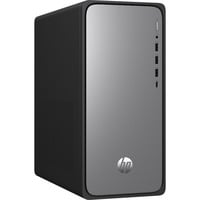 HP OmniDesk M02-0156ng, PC-System schwarz, ohne Betriebssystem