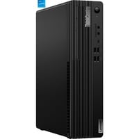 ThinkCentre M70s Gen 5 (12U8001NGE), PC-System