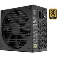 ION Gold 850W, PC-Netzteil