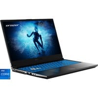 Medion Deputy P60 Core (30039216), Gaming-Notebook Intel® Core™ i9-13900H, NVIDIA GeForce RTX 4070, 16 GB DDR4, 1 TB (1 TB SSD), Windows 11 Home 64-Bit