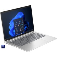 HP EliteBook 660 G11(9Y7K0ET), Notebook silber, Windows 11 Pro 64-Bit, 40.6 cm (16 Zoll), 512 GB SSD