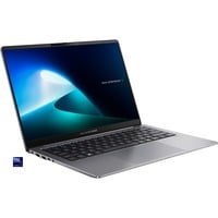 ExpertBook P5 (P5405CSA-NZ0101), Notebook