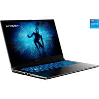 Medion ERAZER Scout E30 (MD62597), Gaming-Notebook schwarz, Intel® Core™ i5-12450H, NVIDIA GeForce RTX 4050, 16 GB DDR4, 512 GB (512 GB SSD), Windows 11 Home 64-Bit