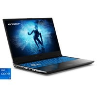 Medion ERAZER Deputy P60i (MD62688), Gaming-Notebook schwarz, Intel® Core™ i7-13620H, NVIDIA GeForce RTX 4060, 16 GB DDR4, 1 TB (1 TB SSD), Windows 11 Home 64-Bit