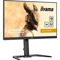 G-Master GB2795HSU-B1 Gold Phoenix, Gaming-Monitor