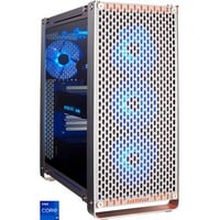 Medion ERAZER Mechanic Epic (MD35290), Gaming-PC aluminium/transparent, Windows 11 Home 64-Bit