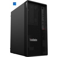 ThinkStation P2 Tower (30FR0062GE), PC-System