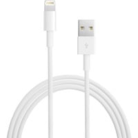 0885909707973 - iPad iPhone iPod Anschlusskabel [1x USB 20 Stecker A - 1x Lightning-Stecker] 050 m Weiß